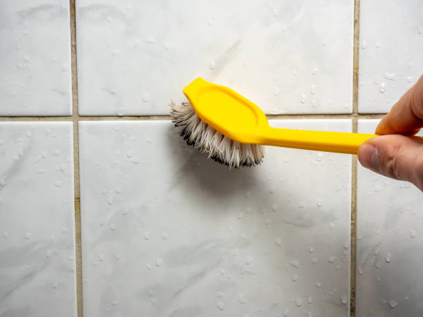 Best Attic Mold Removal  in Ovid, MI