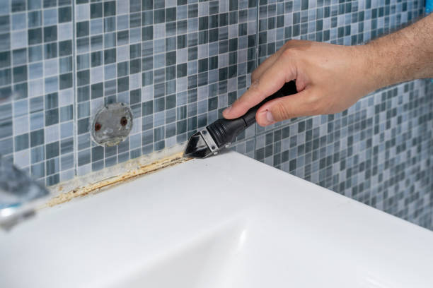 Best Office Mold Removal Services  in Ovid, MI